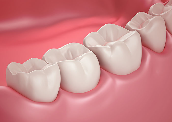 歯と歯茎の3Dイメージ